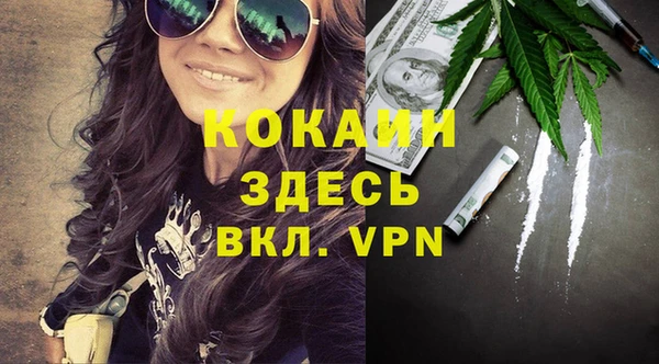 крисы Алексин