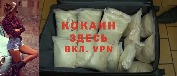 крисы Алексин