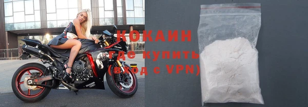 крисы Алексин