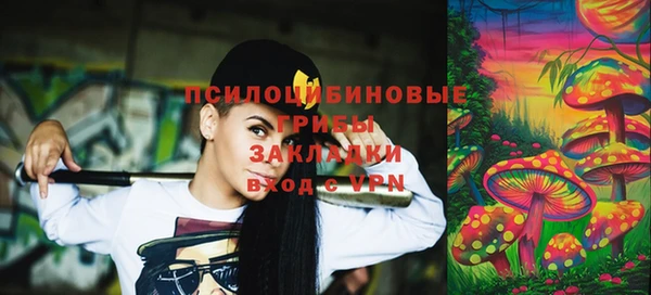 МДПВ Алексеевка