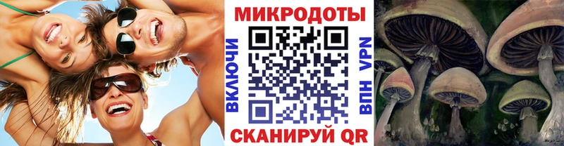 как найти наркотики  Казань  Галлюциногенные грибы прущие грибы 